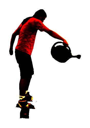 a1